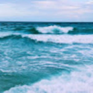 Meet your Posher, Sloane